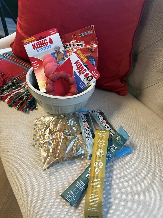 Man's Best Friend Basket